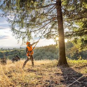 2f14d070-8c51-46c2-637b-08dd8f279aa5