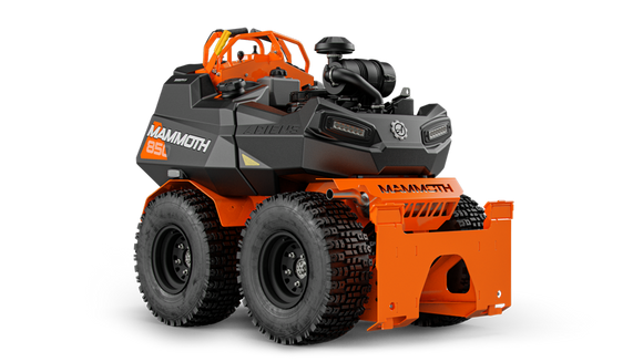 c571b3e4-12d0-49fb-98ff-08dcc3ce8ee2