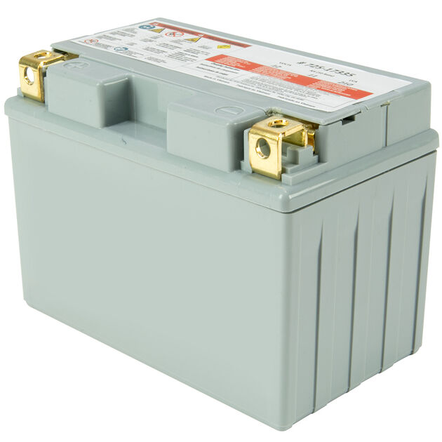 MTD 12-Volt Absorbent Glass Mat (AGM) Battery - 210 CCA