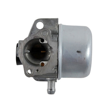 Briggs and Stratton Carburetor (799868)
