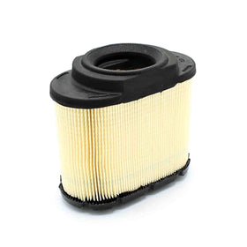 Briggs and Stratton Air Cleaner Cartridge Filter (593240)
