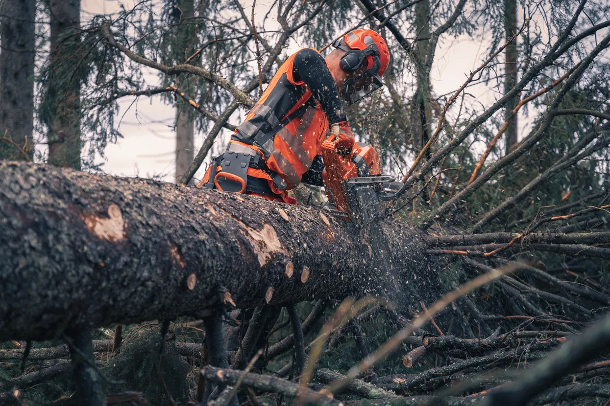 Husqvarna 592 XP® G Chainsaw