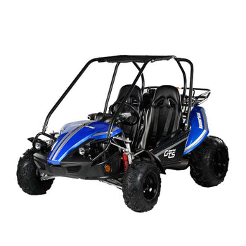Blue two-seater off-road go-kart with black seats, robust tires, and safety frame.