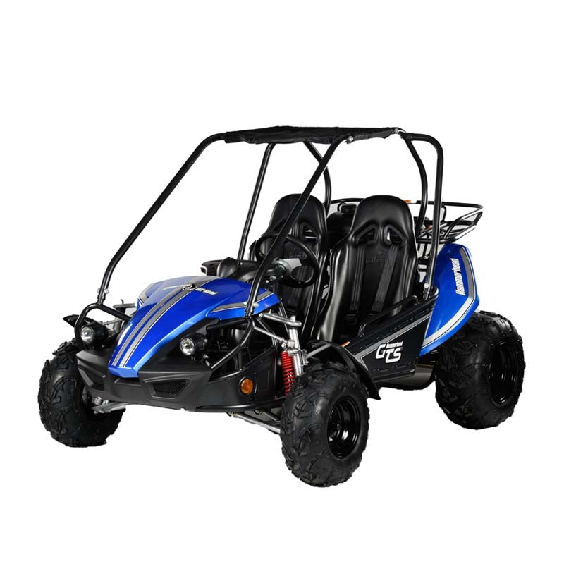 Buy blue Hamerhead GTS 150