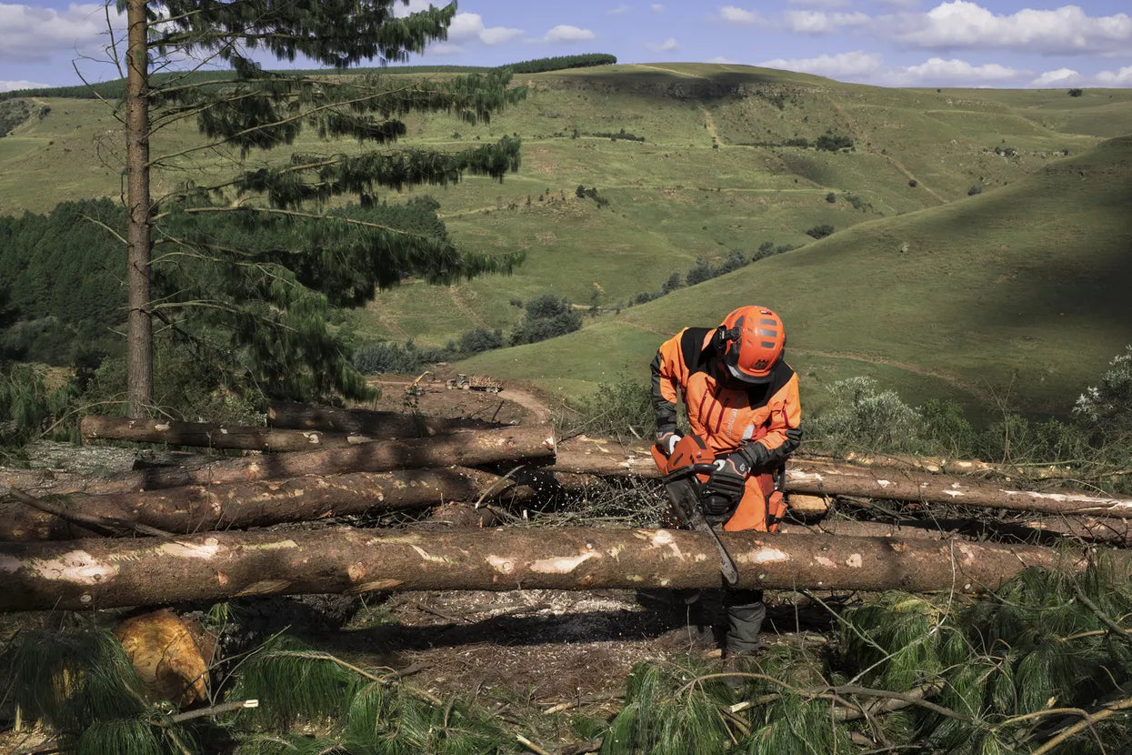 Husqvarna 565 Chainsaw